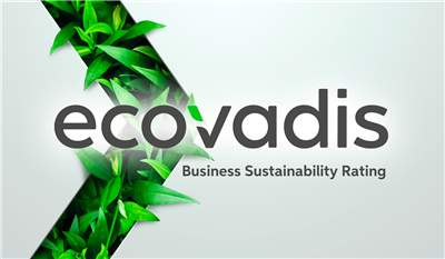 EcoVadis: la chiave per un business sostenibile e competitivo